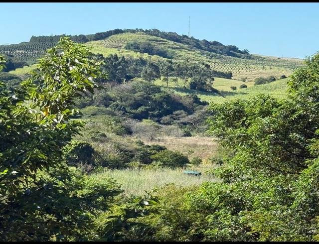 LAND FOR SALE IN ZINI RIVER ESTATE